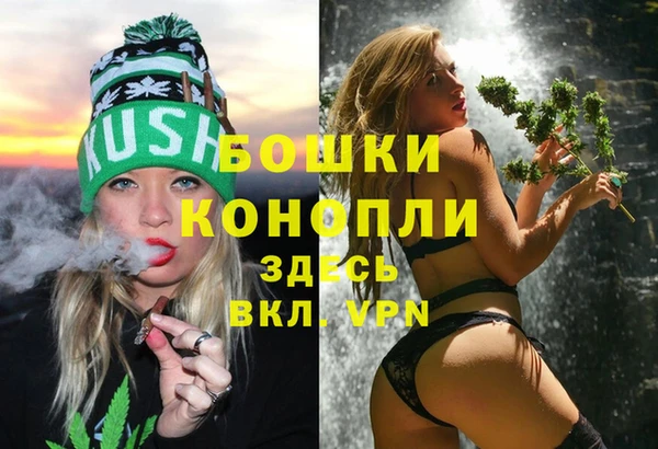 крисы Корсаков