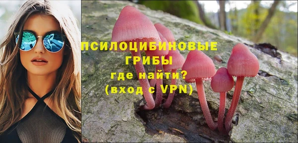 ПСИЛОЦИБИНОВЫЕ ГРИБЫ Козельск