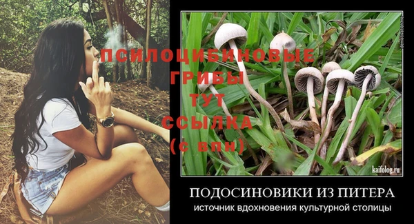 а пвп мука Кодинск
